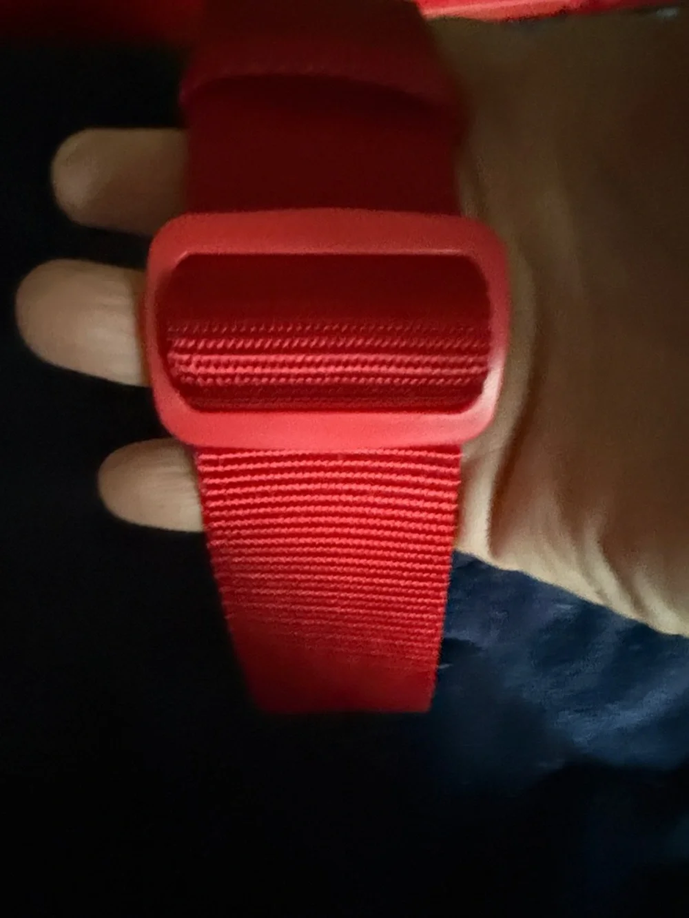 Red Nylon Dog Collar with Silver Hardware- fits Lab up to Great Dane